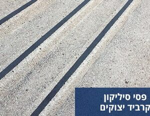פסי סיליקון קרביד יצוקים