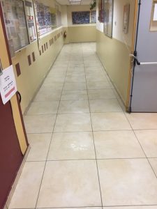 TN_Cat_481127_335