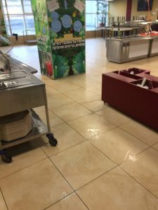 TN_Cat_481127_336