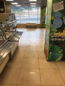 TN_Cat_481127_337
