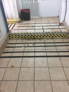 TN_Cat_481127_339