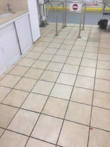TN_Cat_481127_340