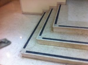 TN_Cat_481127_344
