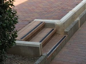 TN_Cat_481127_348