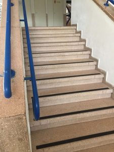 TN_Cat_481127_352
