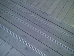 TN_Cat_481127_457