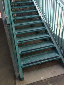 TN_Cat_481127_516