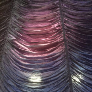 וילונות מסך פרגוד לאחר טיפול עיכוב בעירה